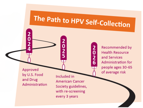 Timeline of HPV self-collection tool approval.