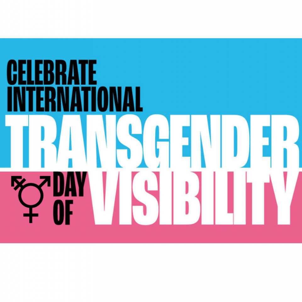Celebrate International Transgender Day of Visibility in color blocked letters over a the transgender flag